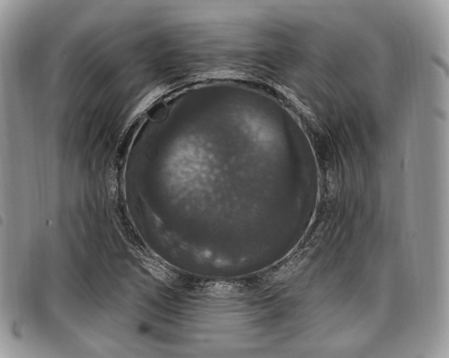 X0000098011266200803281304