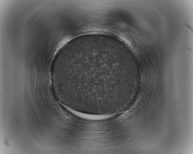 X0000098011267200803281304