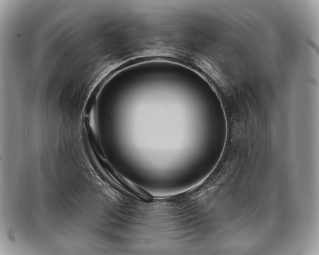 X0000098011268200803281304