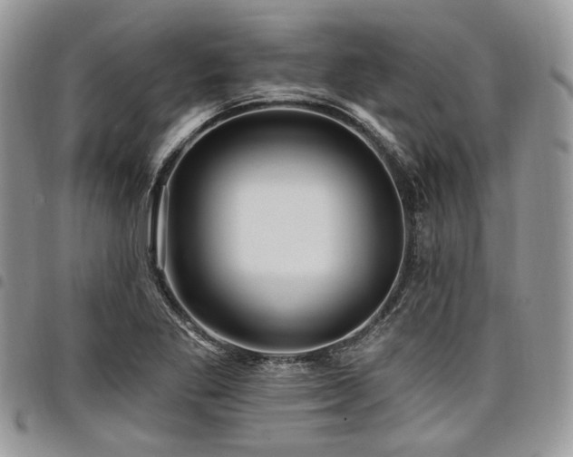 X0000098011269200803281304