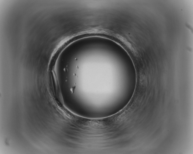 X0000098011270200803281304