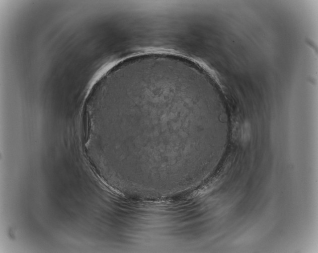 X0000098011271200803281304