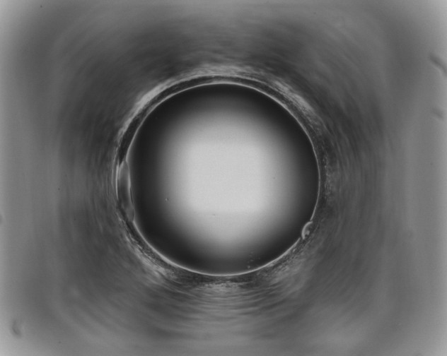 X0000098011272200803281304