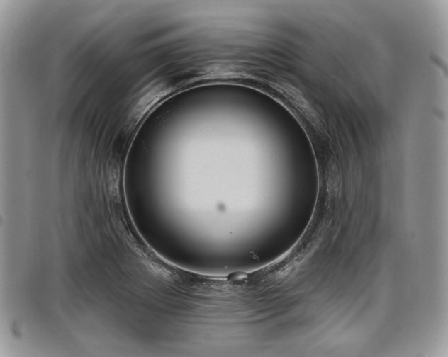 X0000098011273200803281304