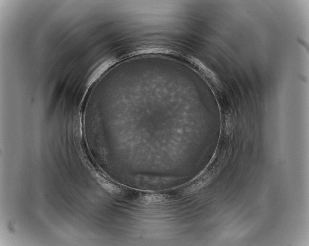 X0000098011274200803281304