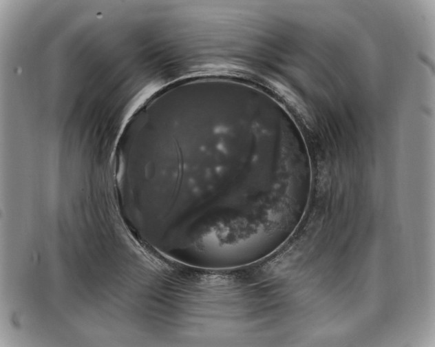 X0000098011275200803281304