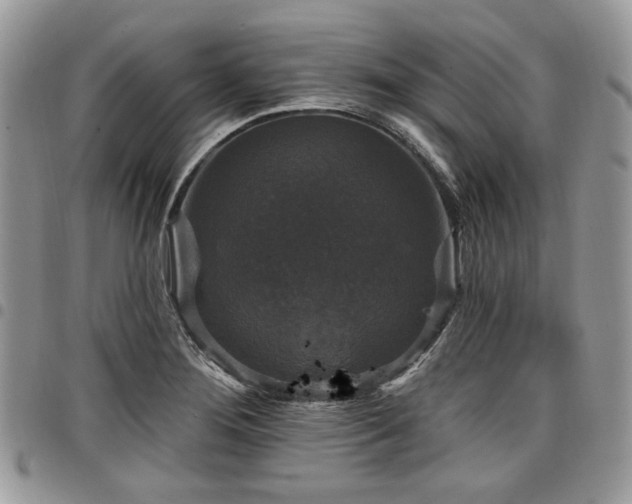 X0000098011276200803281304