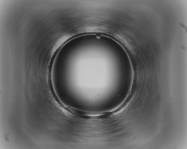 X0000098011277200803281304