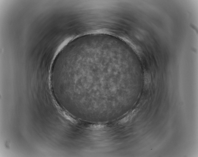 X0000098011278200803281304