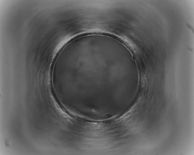 X0000098011279200803281304