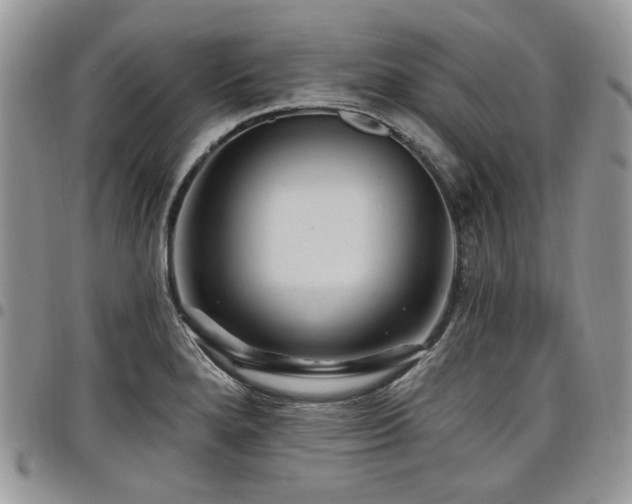 X0000098011280200803281304