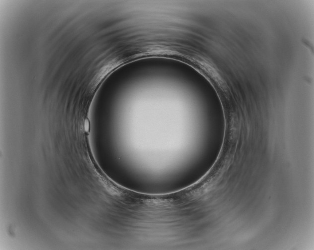 X0000098011281200803281304