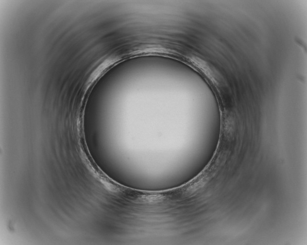 X0000098011282200803281304