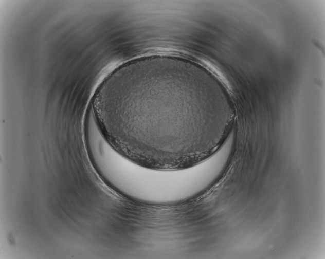 X0000098011283200803281304