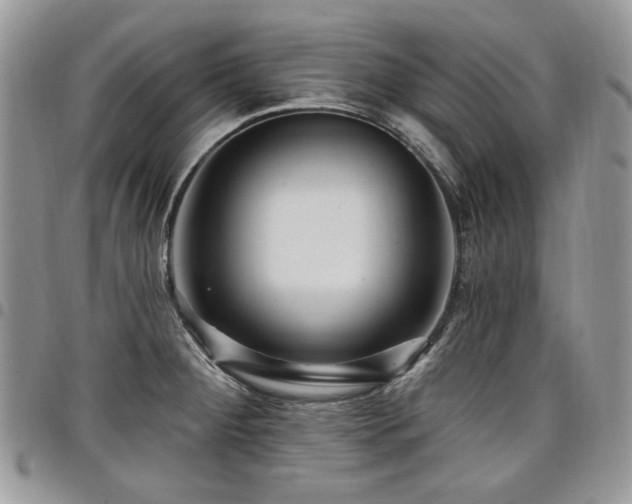 X0000098011284200803281304