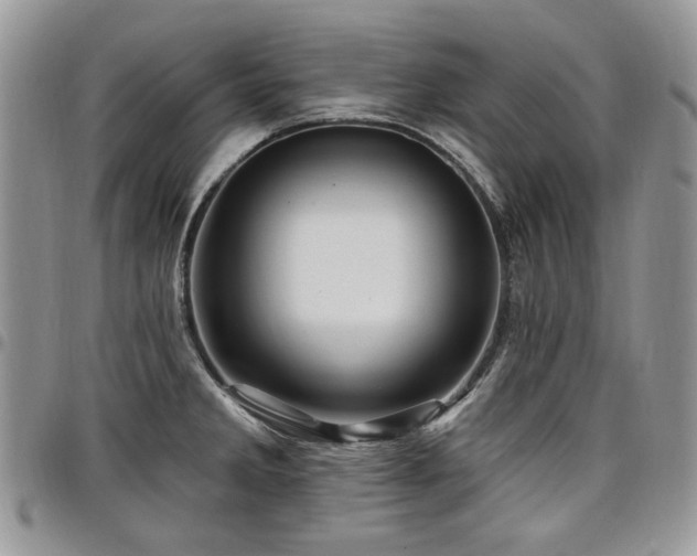 X0000098011285200803281304