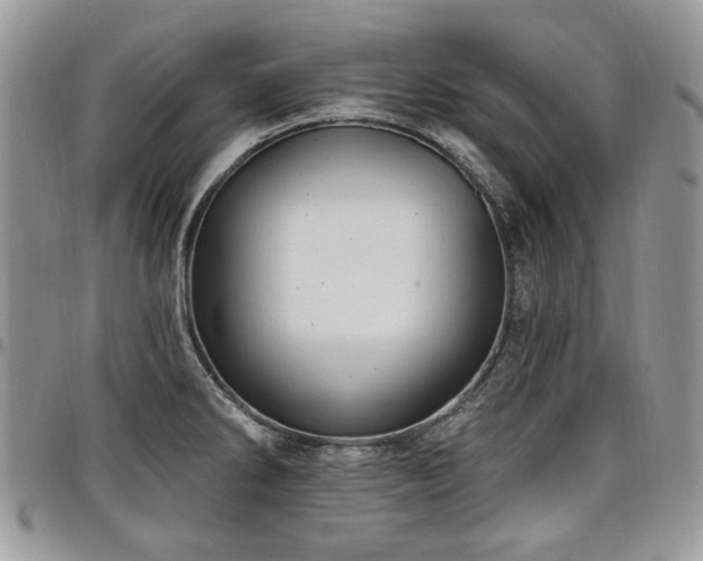 X0000098011286200803281304