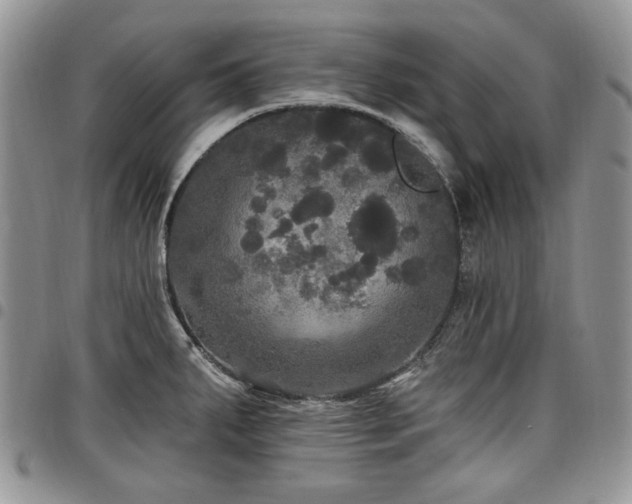 X0000098011287200803281304