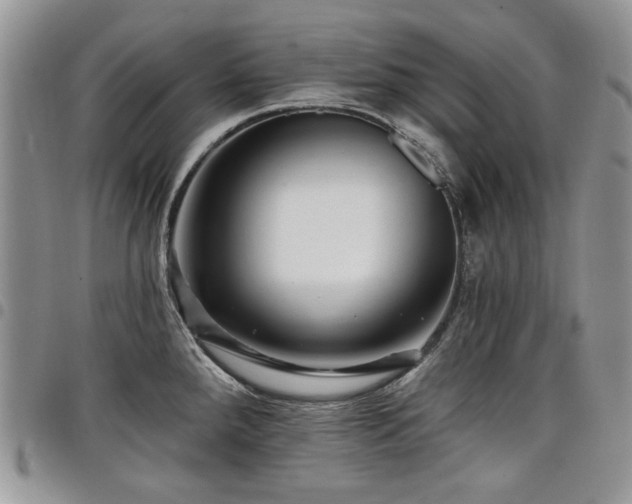 X0000098011288200803281304