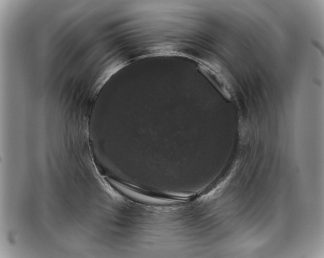 X0000098011289200803281304