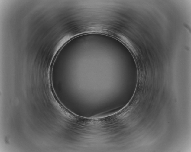 X0000098011291200803281304