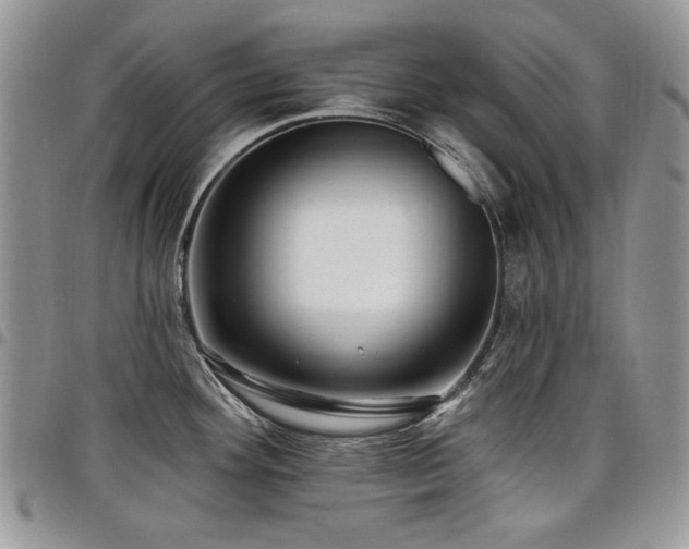 X0000098011292200803281304