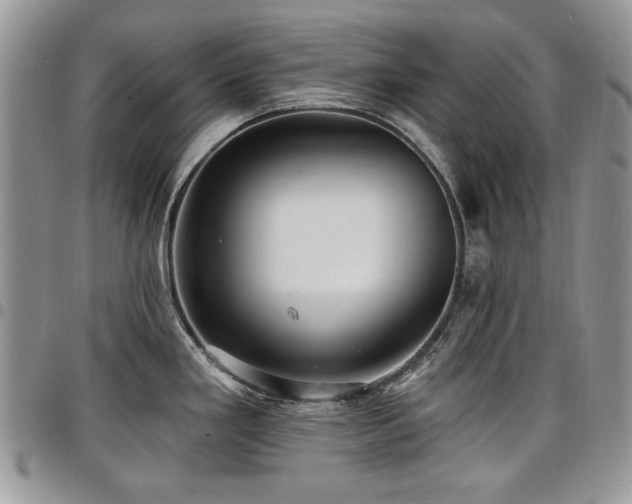 X0000098011293200803281304