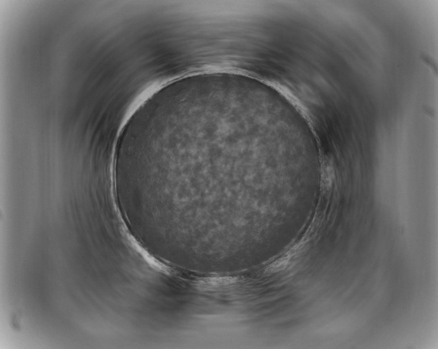 X0000098011294200803281304