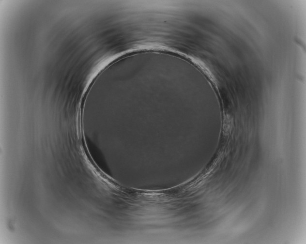 X0000098011295200803281304