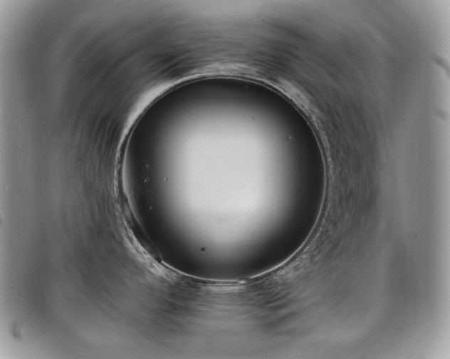 X0000098011296200803281304