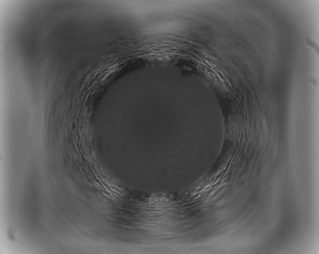 X0000098011297200803281303