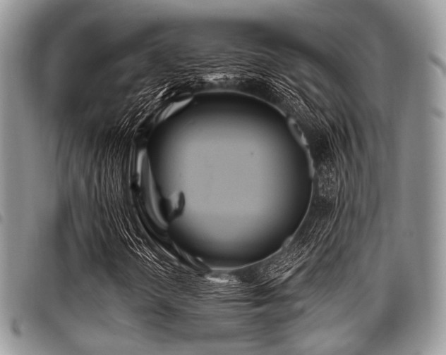 X0000098011298200803281303