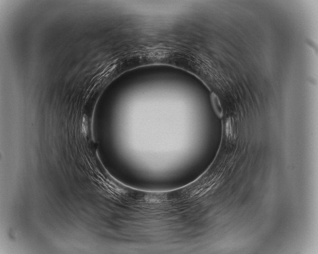 X0000098011299200803281303