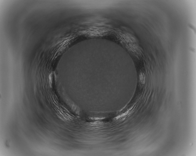 X0000098011300200803281303