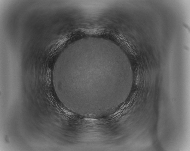 X0000098011301200803281303