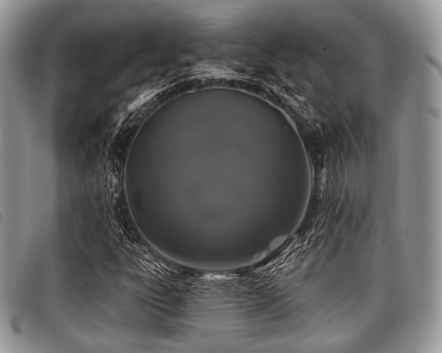 X0000098011303200803281303