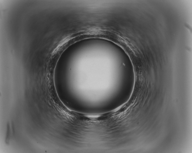 X0000098011304200803281303