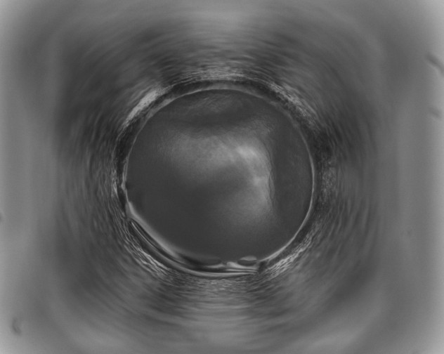 X0000098011306200803281303