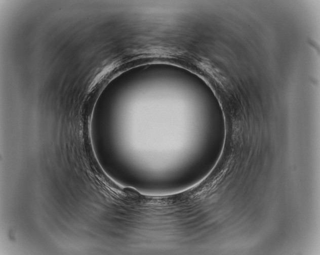 X0000098011307200803281303