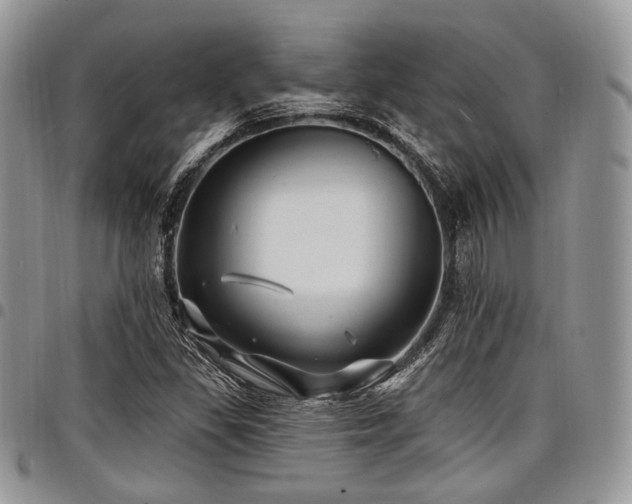 X0000098011309200803281303