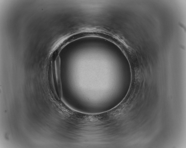 X0000098011311200803281303