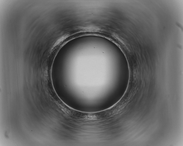 X0000098011315200803281303