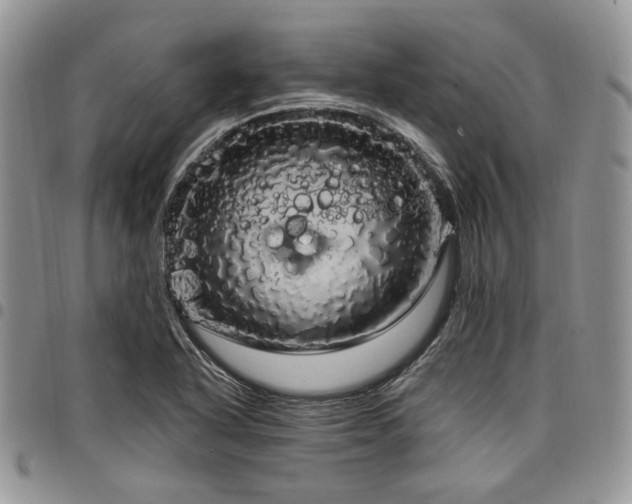 X0000098011318200803281303