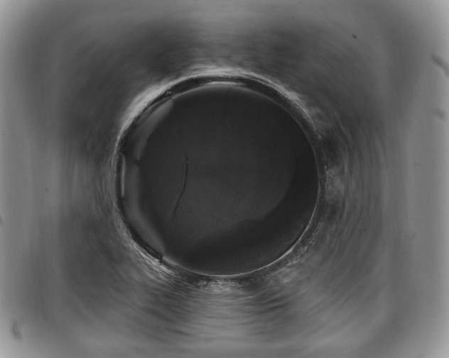 X0000098011319200803281303