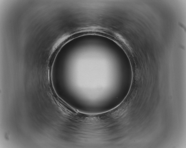 X0000098011320200803281303