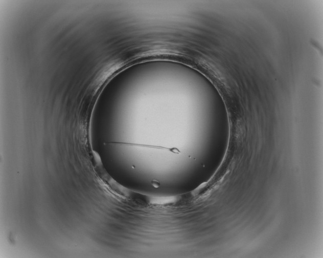 X0000098011321200803281303