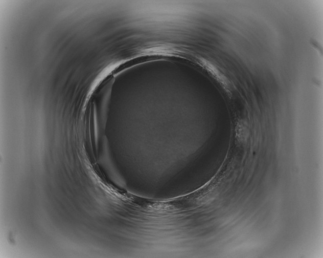 X0000098011323200803281303