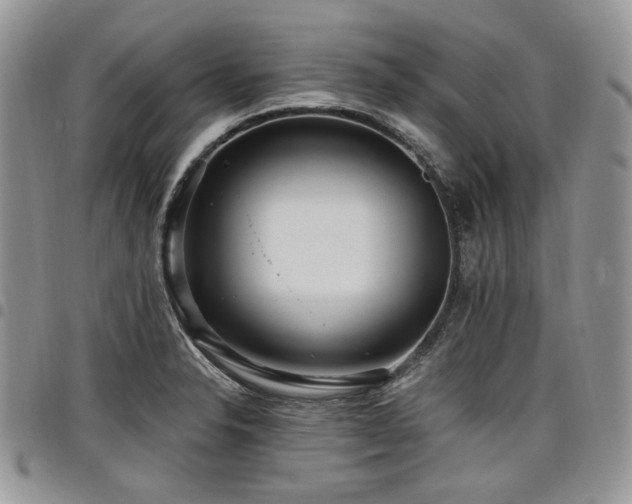 X0000098011326200803281304