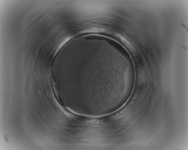 X0000098011329200803281304