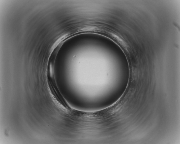 X0000098011330200803281304